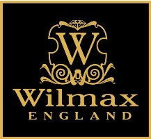 wilmax.by-logo.jpg