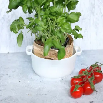 Емкость фарфоровая купить