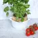 Емкость фарфоровая купить